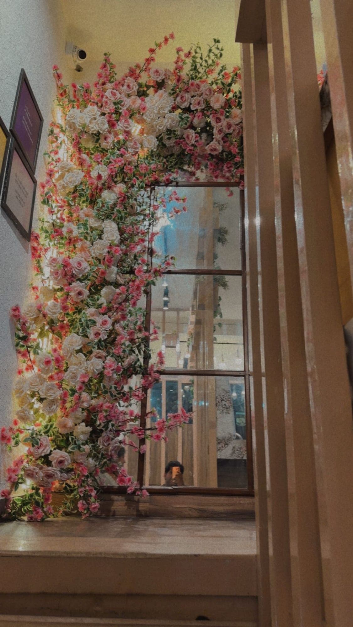 Pink and white roses and blossoms climbing a wall and arching over a window-shaped mirror, lit warmly, with a person holding a phone reflected in the glass, beside a stair railing