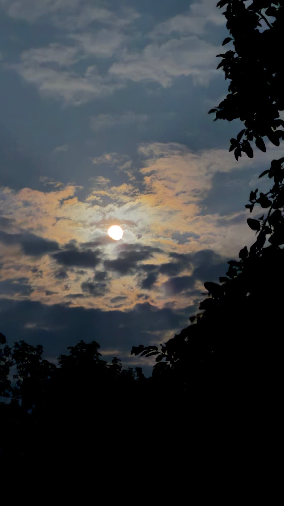 The moon as a bright disc behind thin clouds that glow peach and pale rainbow colours against dark blue clouds, with the silhouettes of tree branches at the right and bottom