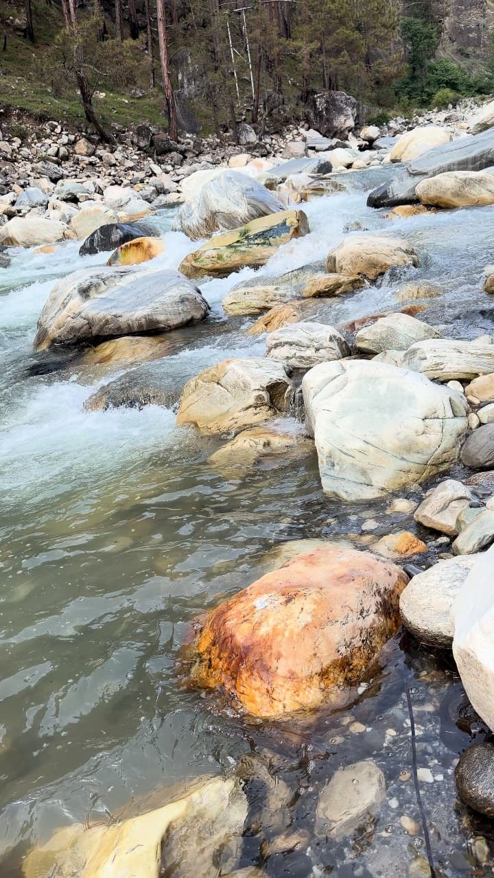 White water tumbling over smooth pale and rust-coloured boulders in a mountain river, with a stony bank and pine trees on the far side
