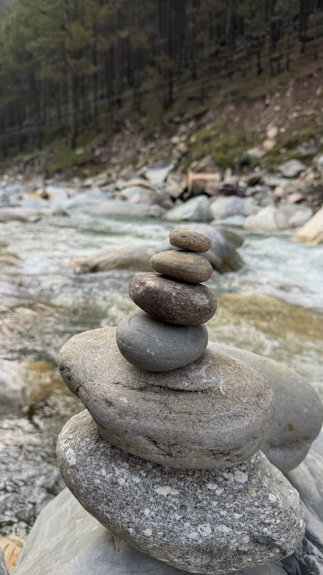 A stack of smooth river stones balanced on a boulder, with the Parvati river rushing past out of focus and a pine forest on the hillside behind