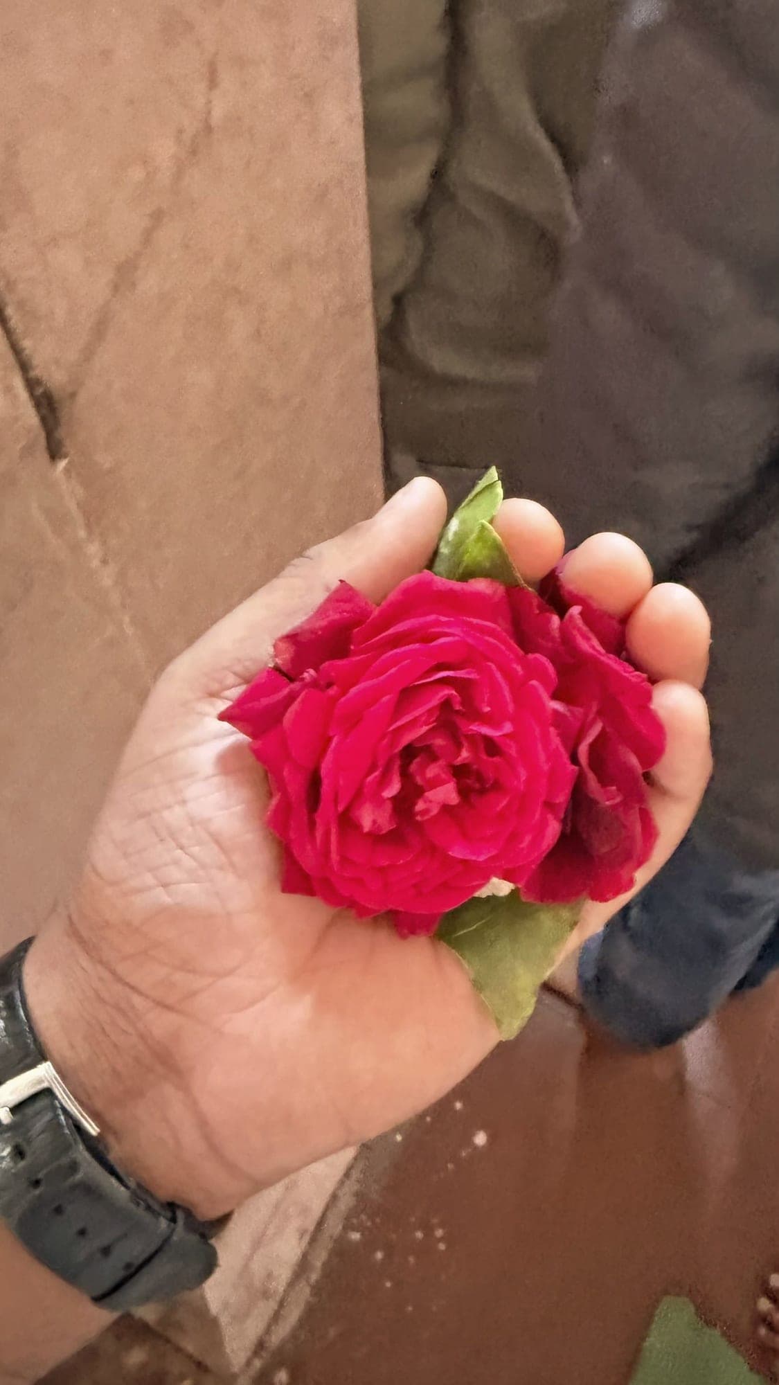 A hand holding a red rose with a green leaf, over a stone floor