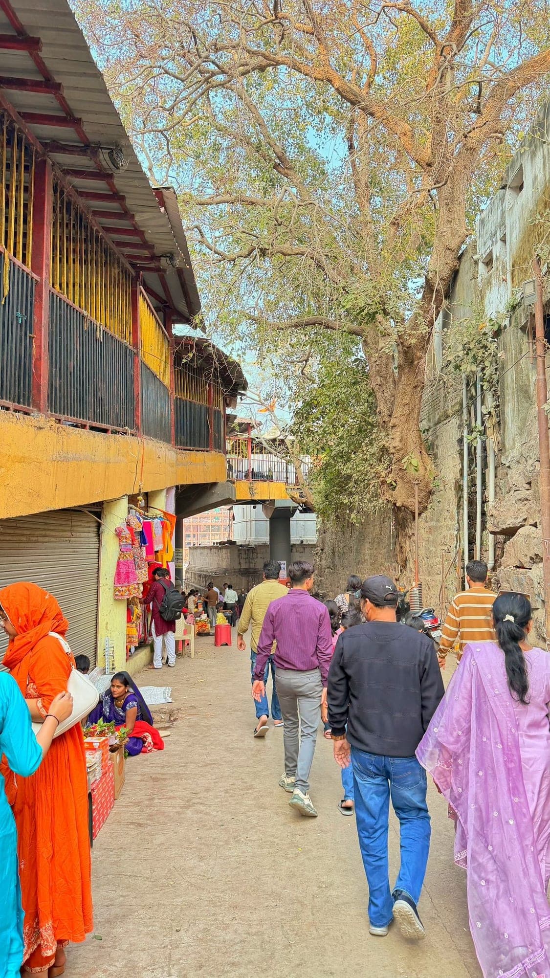 A narrow lane lined with shops and a balcony under a large tree, with people walking down it in the afternoon